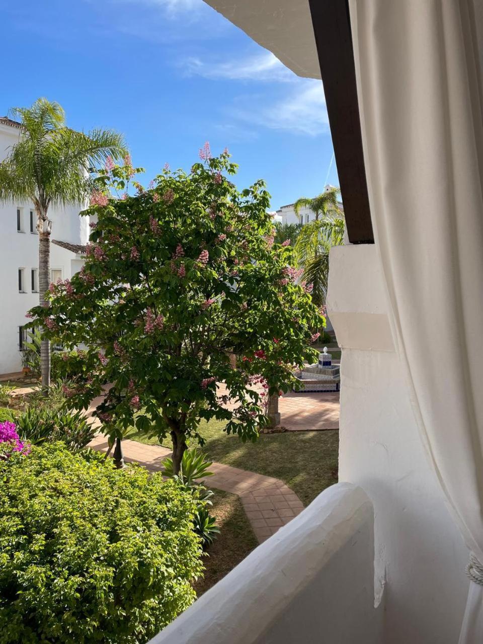 Beautiful 2 Bedroom In Puerto Banus !